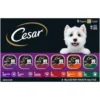 Cesar Classic Loaf In Sauce Wet Dog Food Variety Pack 3 5 oz Trays 36 Pack 80340b62 e762 4105 873b fd8036a8c541.9a23618e1e5dd6ce0f4409945ad6e19f