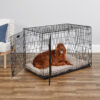 MidWest Homes For Pets Double Door iCrate Metal Dog Crate 42 aa6035bf f615 4a6d 973f 455354674dbf.0630a007b7757ca67c89cc1aca654612