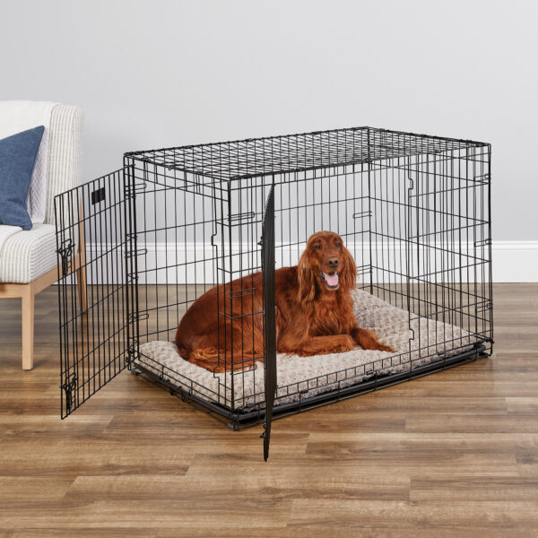 MidWest Homes For Pets Double Door iCrate Metal Dog Crate 42 aa6035bf f615 4a6d 973f 455354674dbf.0630a007b7757ca67c89cc1aca654612