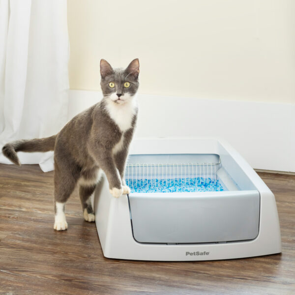 PetSafe ScoopFree Crystal Classic Self Cleaning Cat Litter Box Unbeatable Odor Control Gray ab0d3a53 baac 47cb 9809 07e2c833f25e.b46070a107f2b4c172f8fab1664d060c