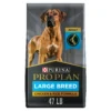 Purina Pro Plan Dry Dog Food for Large Adult Dogs High Protein Real Chicken Rice 47 lb Bag a8cefde3 06b5 4732 a79b 1b4a23e0dba0.dc0d78937d6b8d5cb4ee55958be9f525