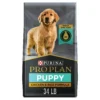 Purina Pro Plan Puppy Dry Dog Food Lean Muscle Support High Protein Chicken Rice 34 lb Bag a5f88026 d4a5 4fa5 b668 2889fb3898e1.dadd6f5c6fc19ff7dc3c07a105ec45a2